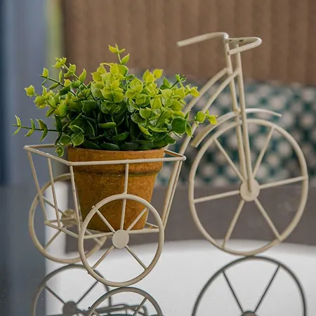 Bythesea Superior * Mamaia